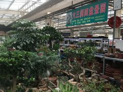 -李村大集
