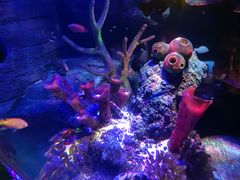 -沈阳海洋探索中心