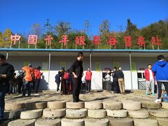 -千年银杏谷文化旅游区