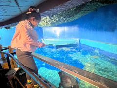 -太平洋海底世界