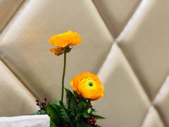 -A One Kitchen·南京精菜馆(晶丽酒店店)