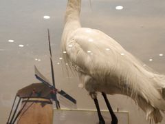 -下渚湖国家湿地公园科普馆