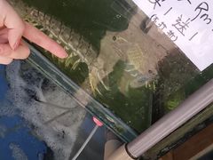 -量贩海鲜餐厅