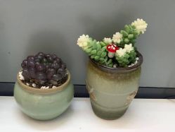 -苑苑vbeauty科技美容SPA