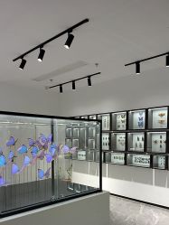 -酷嗒动物文化乐园(cutezoo西溪乐天城店)