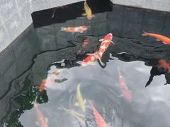 -西安市广仁寺