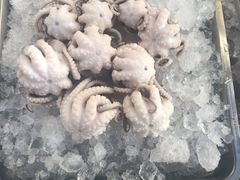 -铭聚章鱼土笋冻(松柏店)