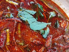 -紫荆广场·花漫里