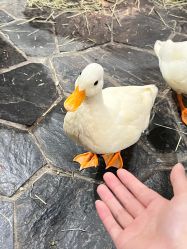 -Zoolung Zoolung动物主题公园(海信广场店)