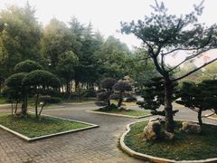 -屈原公园
