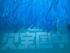 -杭州湖滨in77