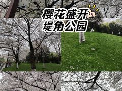-堤角公园