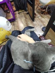 -青木造型HAIR·あおき髪を刈る潮人店