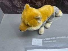 -青藏高原野生动物园