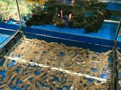 -海蓝海鲜馆(五四北店)