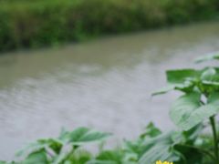 -花开海上生态园