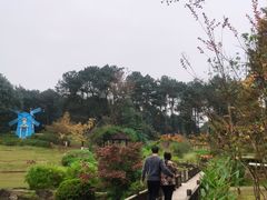 -铁山坪森林公园