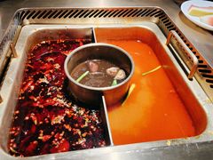 -九鼎轩脆毛肚火锅(商业街店)