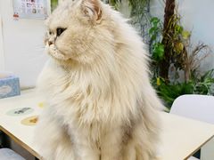 -小时光咖啡馆(北锣鼓巷店)