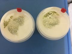 -茶颜观色(大顺巷店)