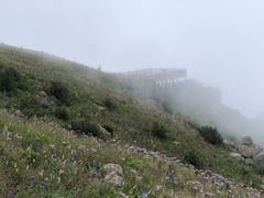 -白草畔自然风景区