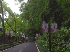 -杭州花家山庄