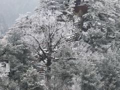 -老界岭旅游度假区