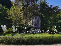 -广州白江湖森林公园