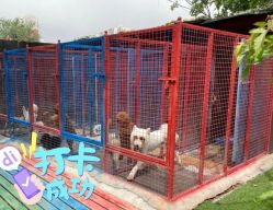 -萌宠亲子动物乐园(槐房万达店)