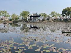 -无锡蠡湖国家湿地公园-蠡园