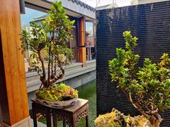 -云南荟·湖畔领宴(领事馆店)