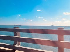 -米斯特比萨(罗斯福店)