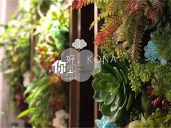 -安琳acKONA咖啡(市南店)