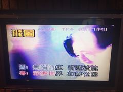 蔡济文-平凡心-环球梦主题KTV(曲阳生活购物中心店)