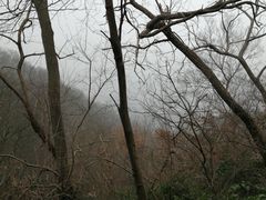 -紫金山索道-售票处