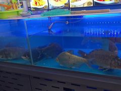 -老妈厨房团圆饺子东北菜(北环路店)