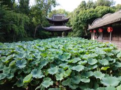 -三苏祠