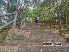-紫金山山顶公园
