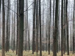 -上海怡沁园度假酒店