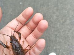 -黄山北海宾馆