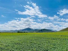 -扁都口生态休闲旅游区
