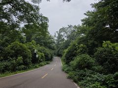 -潜山国家森林公园