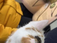 -美美宠物诊疗中心·异宠·骨科(滨江东信分院)
