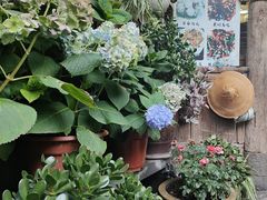 -龙姐私房菜(和顺古镇店)