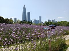 -深圳湾公园(南山区)