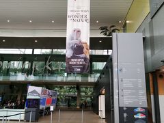 -墨尔本博物馆(Melbourne Museum)