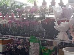 -沃尔玛购物广场(霖雨路店)