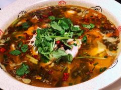 酸菜鱼-明城饭店(万科九都荟店)