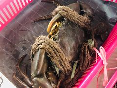 -龙海鲜螃蟹王(宏茂桥店)