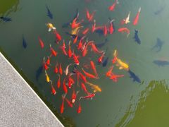 -西安华清御汤酒店